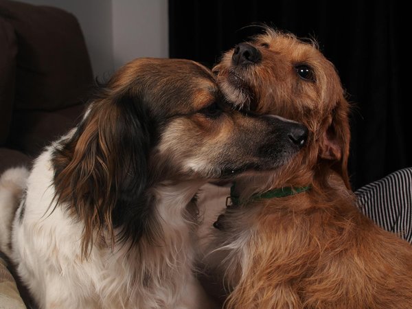 How Does UK Technology Drive Innovation in Urban Development?